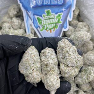 Snow Cones Zour Bomb Pop Strain